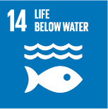 14 Life below water